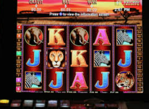 世界杯下单平台网站官网电脑免费版